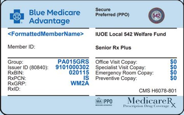 What does BCBS POS mean?