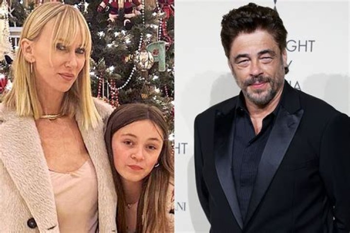 What does Benicio Del Toro do in Sicario?