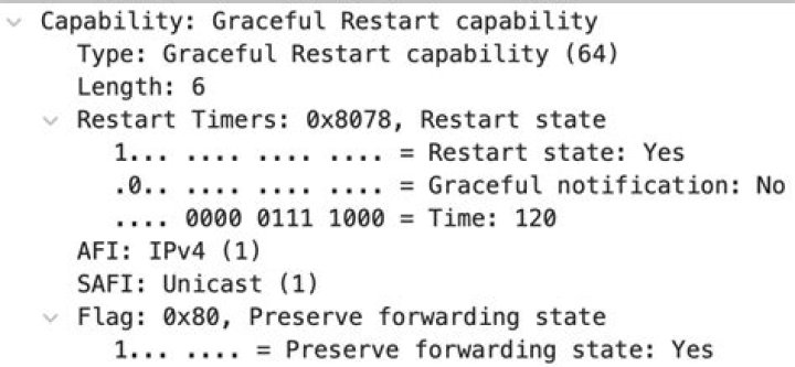 What does BGP graceful restart do?