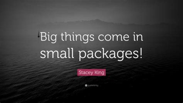 What does big things come in small packages mean?