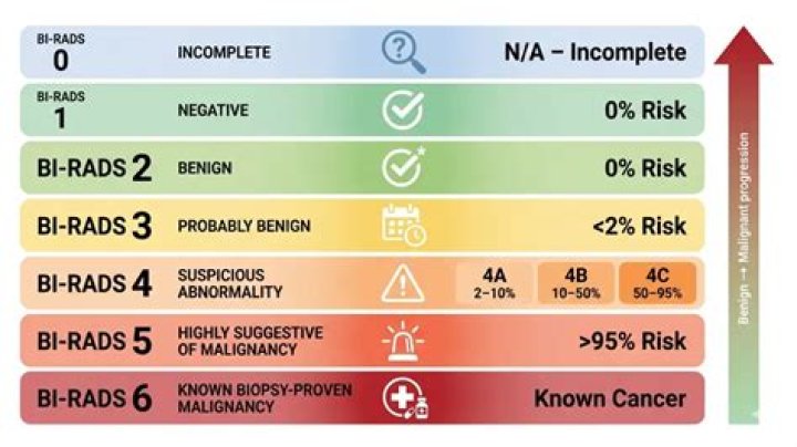 What does Birads 4B mean?