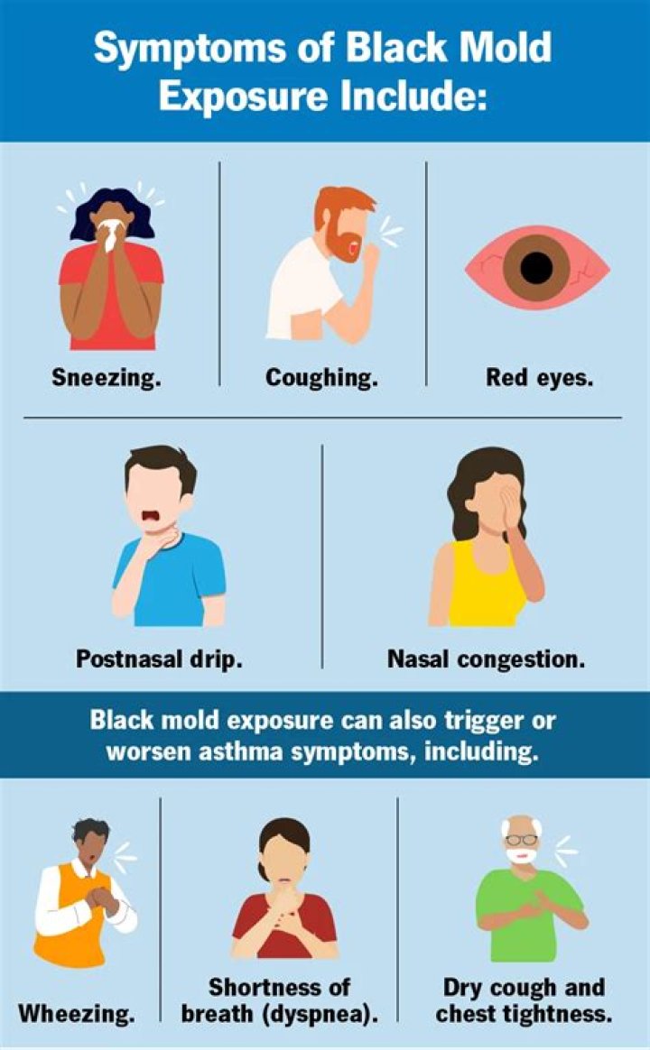 What does black mold do to your lungs?