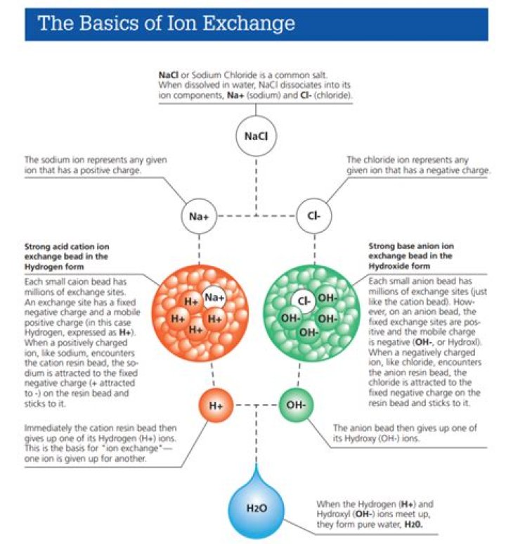 What does cation exchange do?