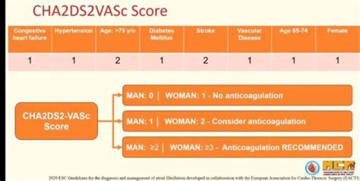 What does chads VASc score stand for?