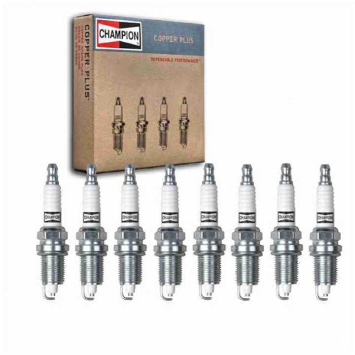 What does Champion RJ19LM fit?