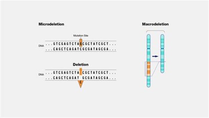 What does clonal deletion do?