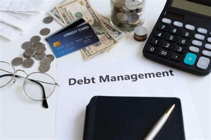 What Does Debt Management Office do?