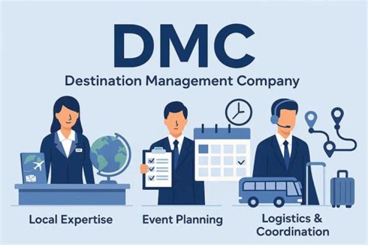 What does DMC stand for in Panasonic?