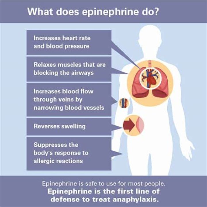 What does epinephrine do for asthma?