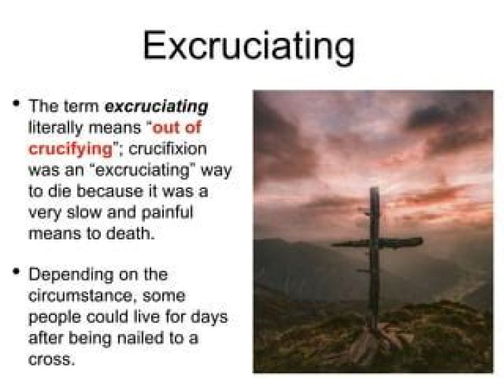 What does excruciating detail mean?