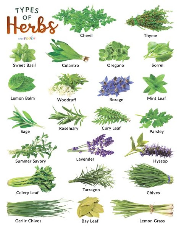 What does fine herbs consist of?