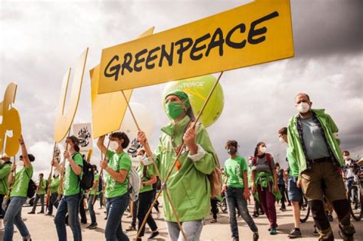 What does Green Peace do?