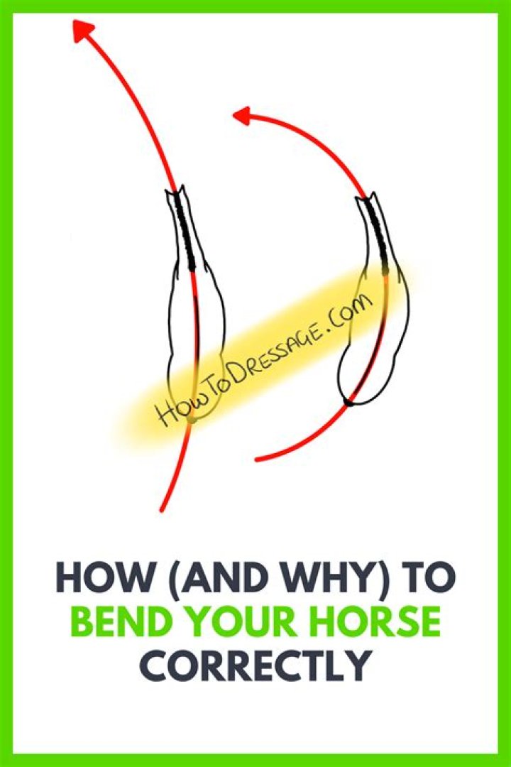 What does it mean to bend your horse?