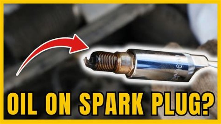 What does it mean when you have oil in your spark plug chamber?