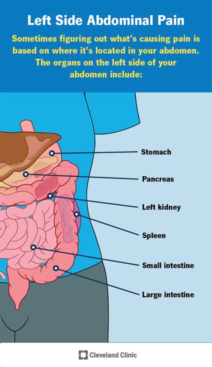 What does it mean when your stomach hurts on the upper left side?