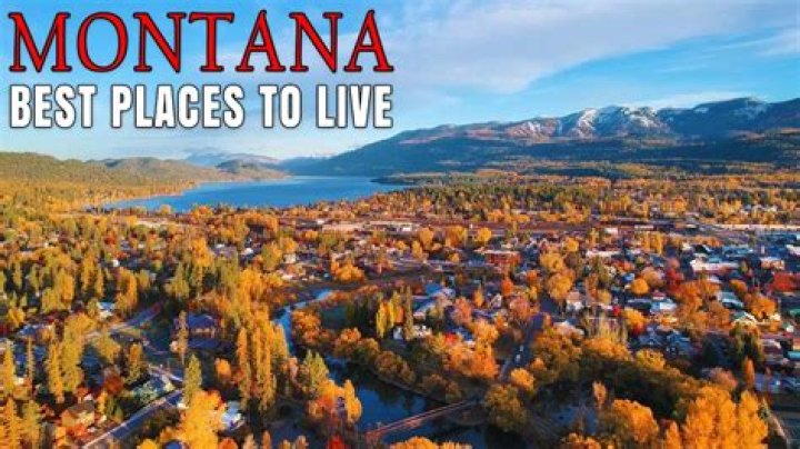What does Joe Montana do for a living?