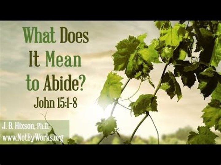 What does John 15 mean in the Bible?
