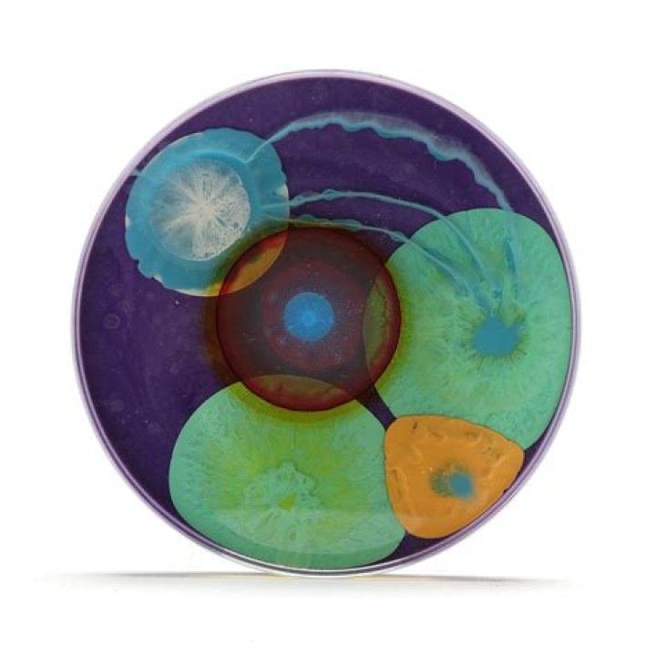 What does Klari Reis do in her art?