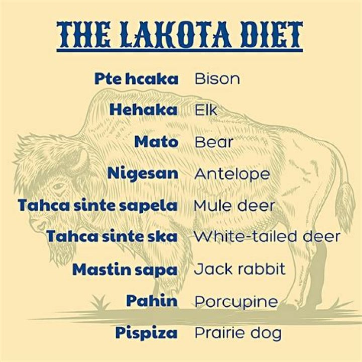 What does lakotas mean?