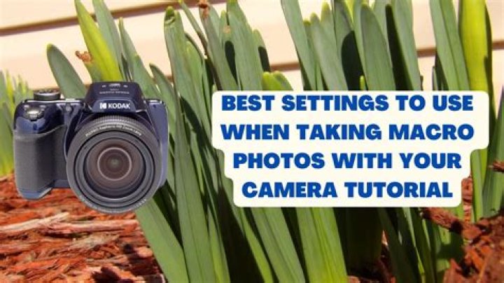 What does macro mean on a camera?