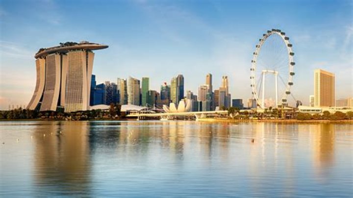 What does Mims stand for Singapore?