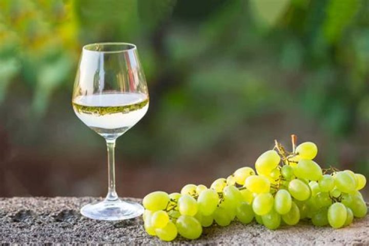 What does Muscadet wine taste like?