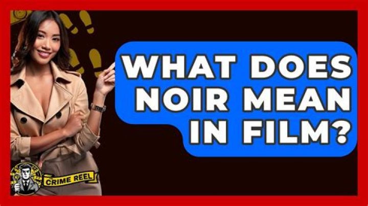 What does noir style mean?