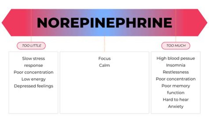What does norepinephrine do in the body?