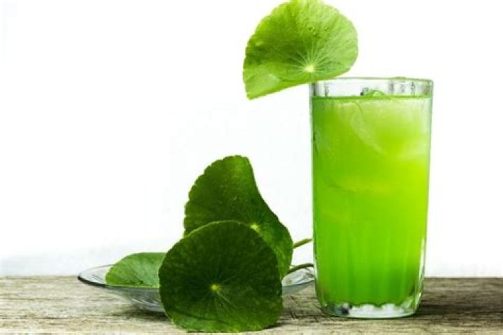 What does pennywort juice taste like?