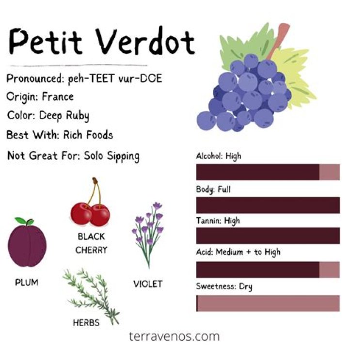 What does Petit Verdot wine taste like?