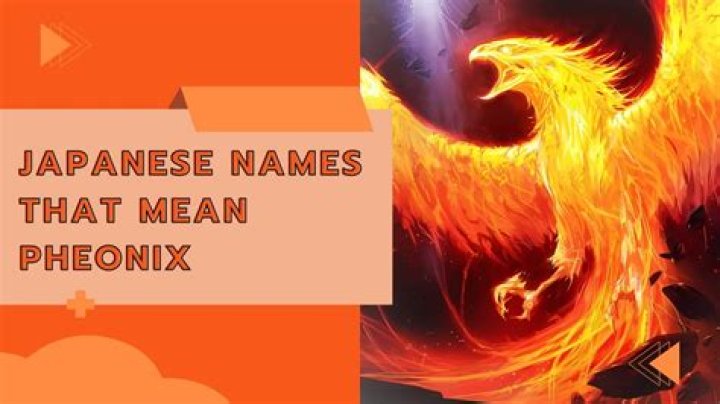 What does Phoenix Suns mean?