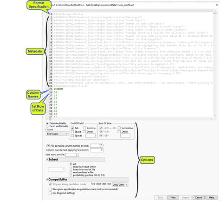 What does prob F mean in JMP?