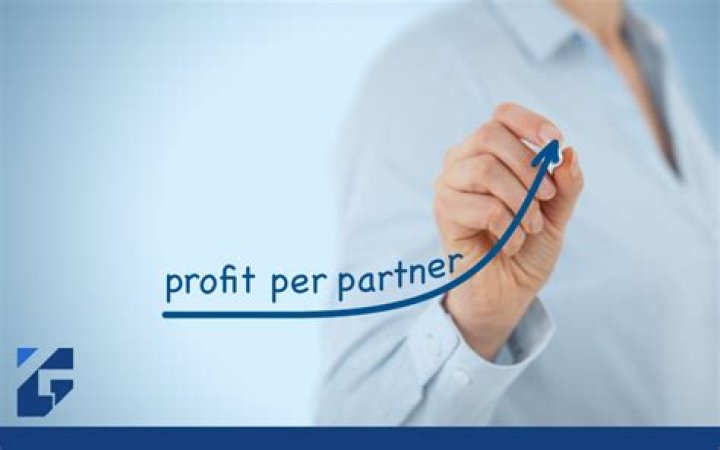 What does profit per partner mean?