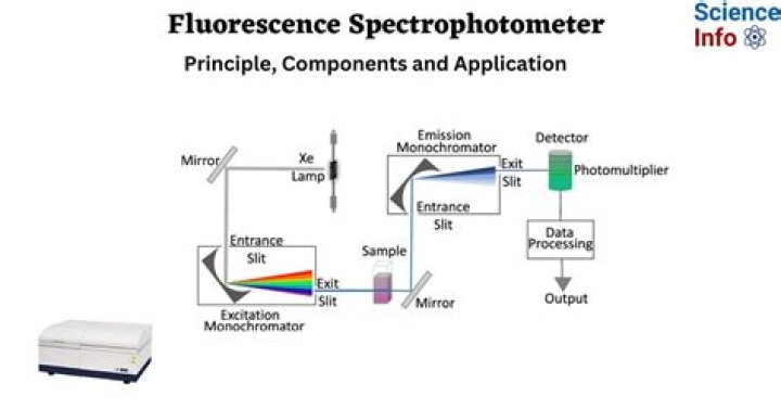 What does Qubit fluorometer do?