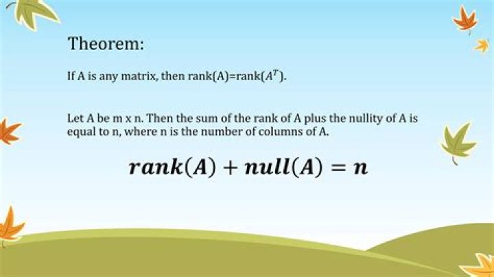 What does rank nullity theorem mean?