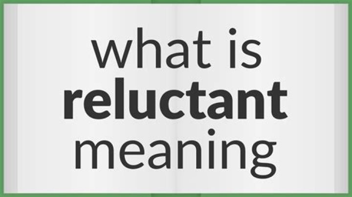 What does reluctant entrepreneur mean?
