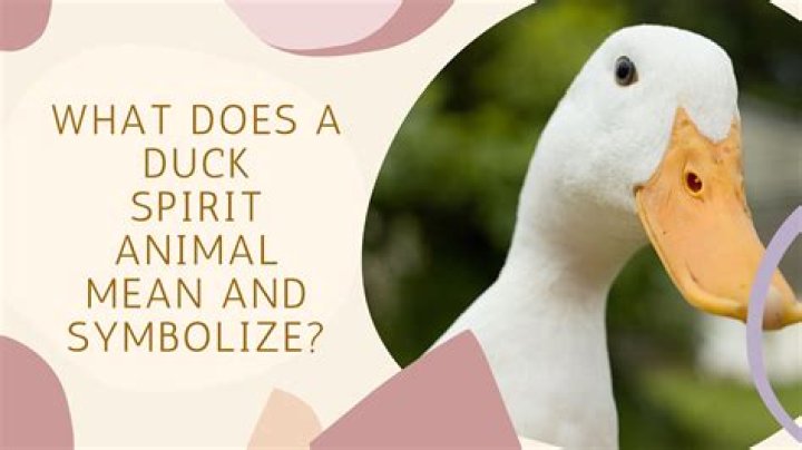 What does seeing a duck symbolize?