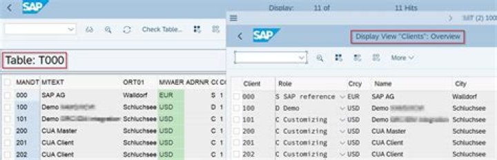 What does SM35 do in SAP?