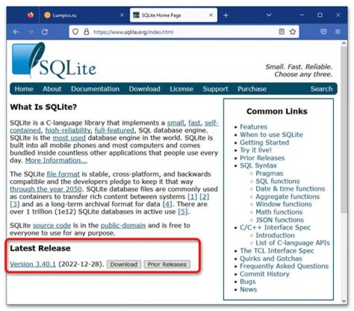 What does SQLite INSERT return?