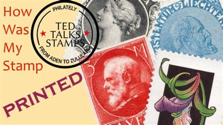 What does Stamp Paid mean about the jungle?