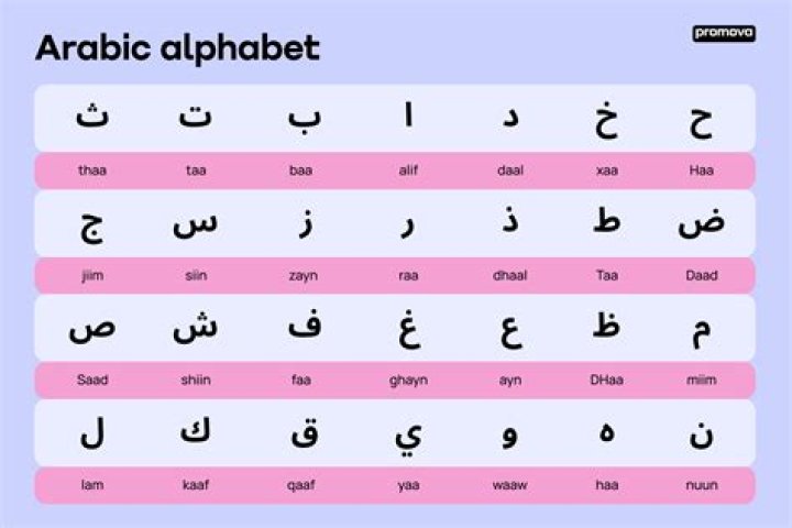 What does tapioca mean in Arabic?