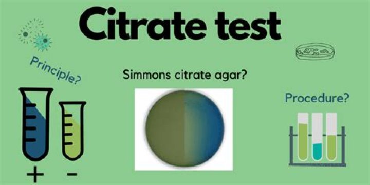 What does the citrate test differentiate?