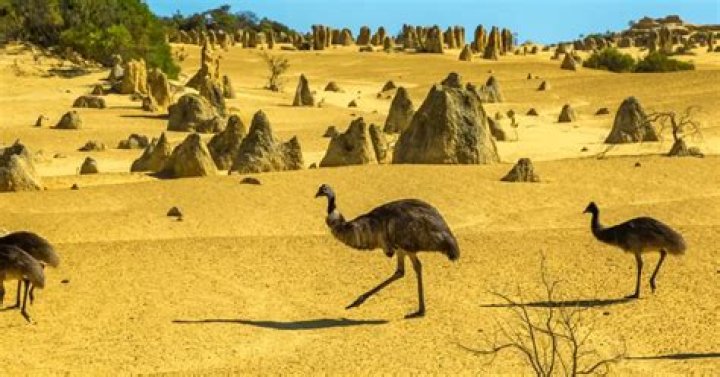What does the dunny mean in Australia?