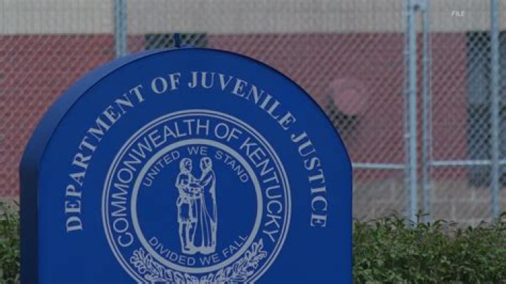 What does the Florida Department of Juvenile Justice do?