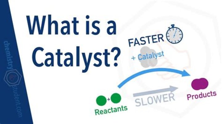 What does the idexx catalyst do?