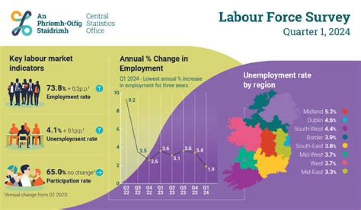 What does the Labour Force Survey ask?