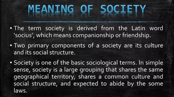 What does the Latin word dignity mean?