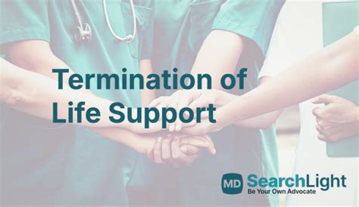 What does the phrase life support mean?