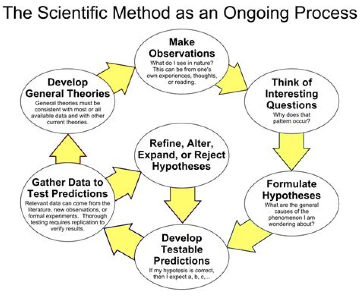 What does the scientific method start with?