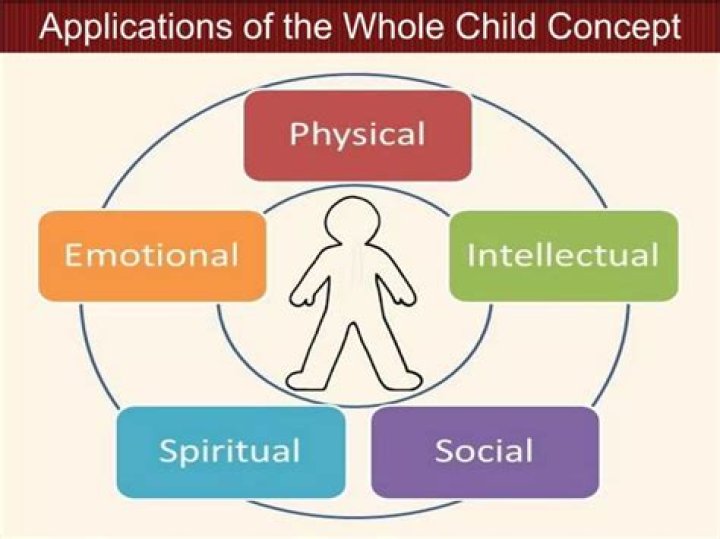 What does the whole child approach mean?